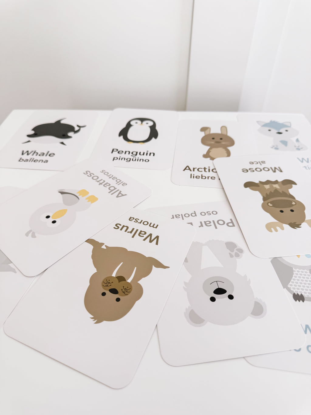 Arctic Animals Flashcards for Toddlers | Wildlife Learning Cards for Preschoolers