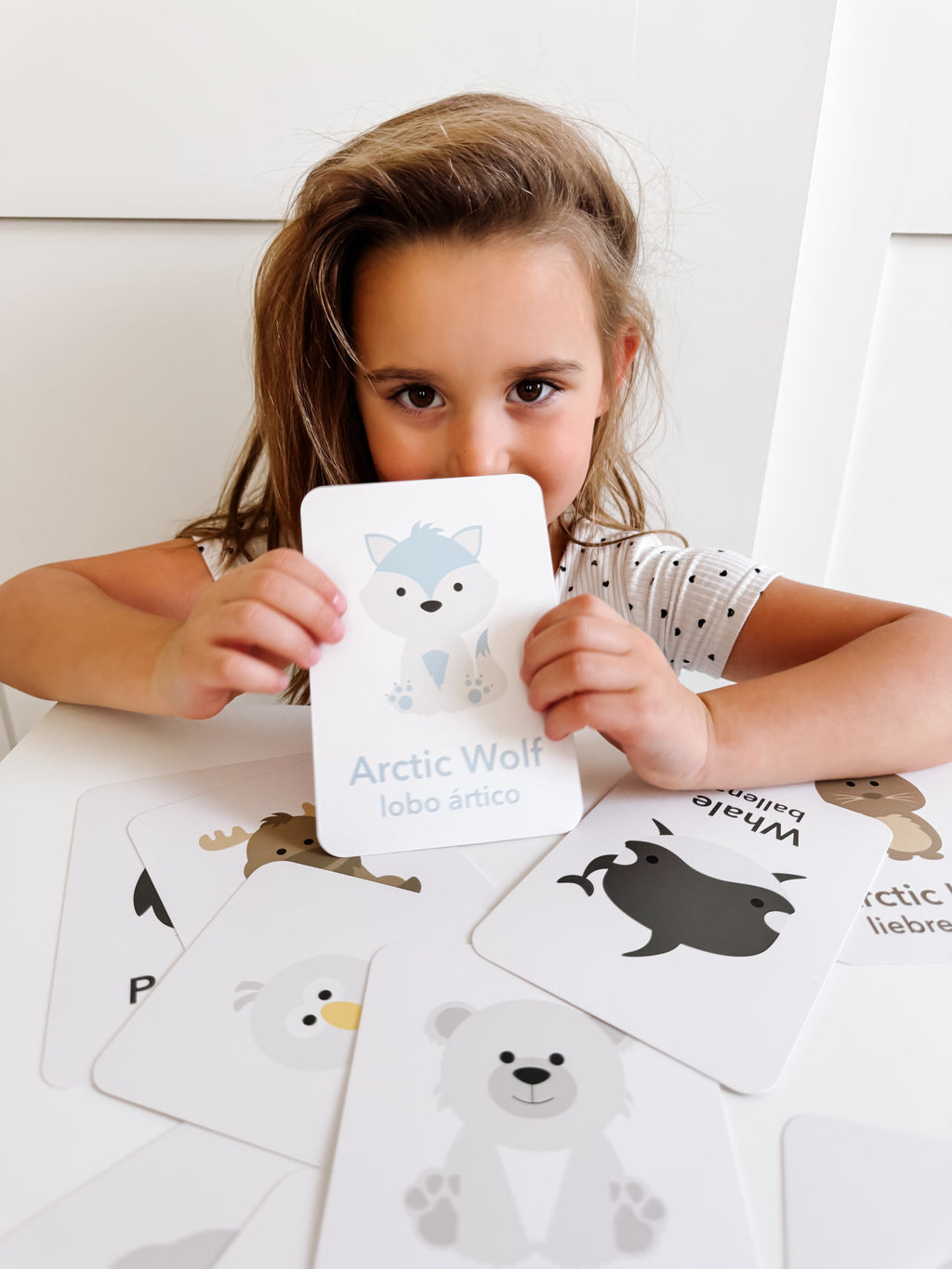 Arctic Animals Flashcards for Toddlers | Wildlife Learning Cards for Preschoolers