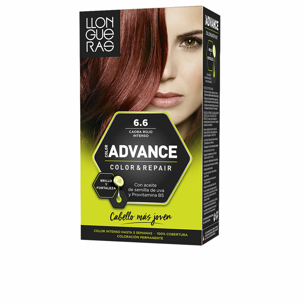Permanent Dye Llongueras-22