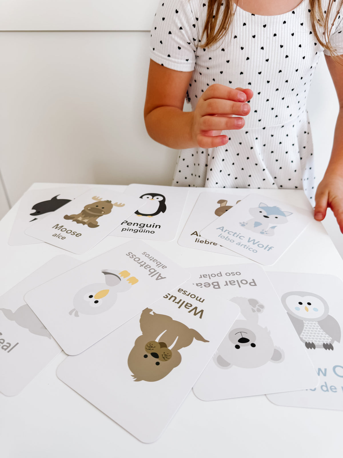 Arctic Animals Flashcards for Toddlers | Wildlife Learning Cards for Preschoolers