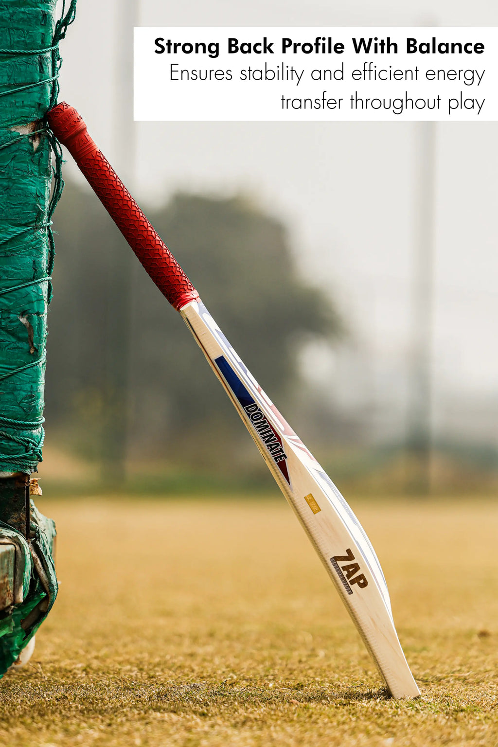 ZAP Classic Pro English Willow Bat