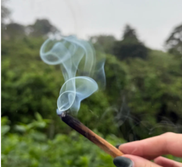 Palo Santo Eco-Luxe Smudge Sticks by Maison Palo Santo-1