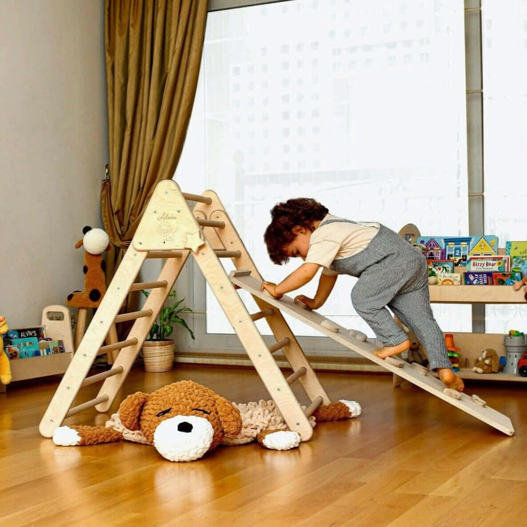 Climbing Triangle and Ramp Set 2-in-1