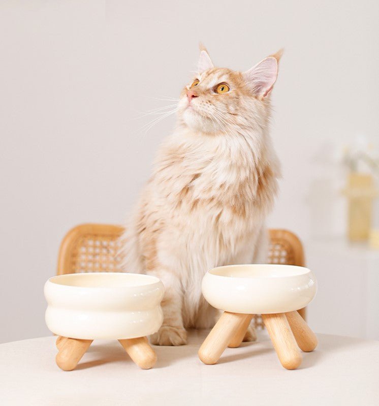 Gulu Elevated Ceramic Pet Food Bowl with Wooden Stand-0