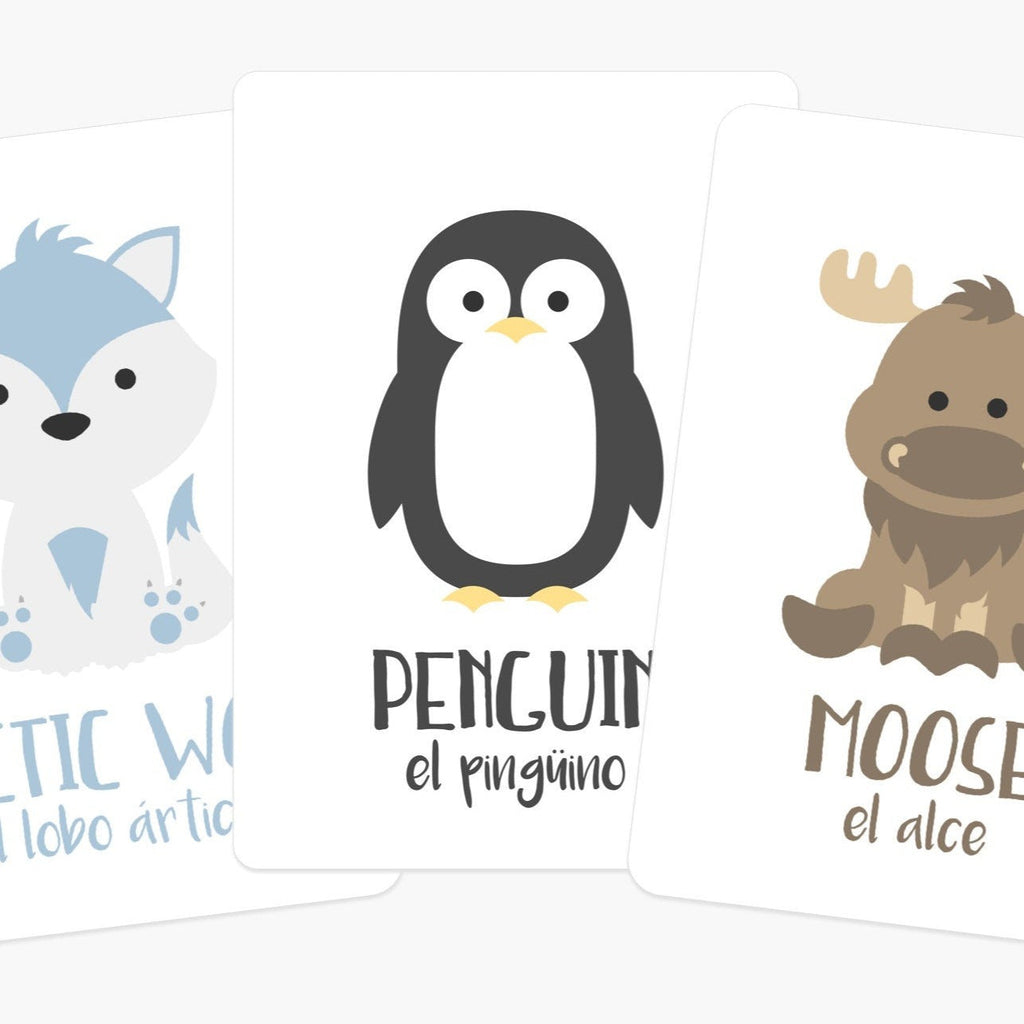 Arctic Animals Flashcards for Toddlers | Wildlife Learning Cards for Preschoolers