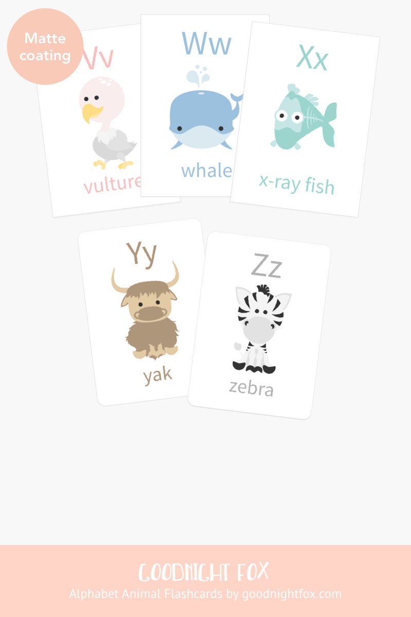 Alphabet Flashcards for Toddlers | ABC Animal Learning Cards for Preschoolers